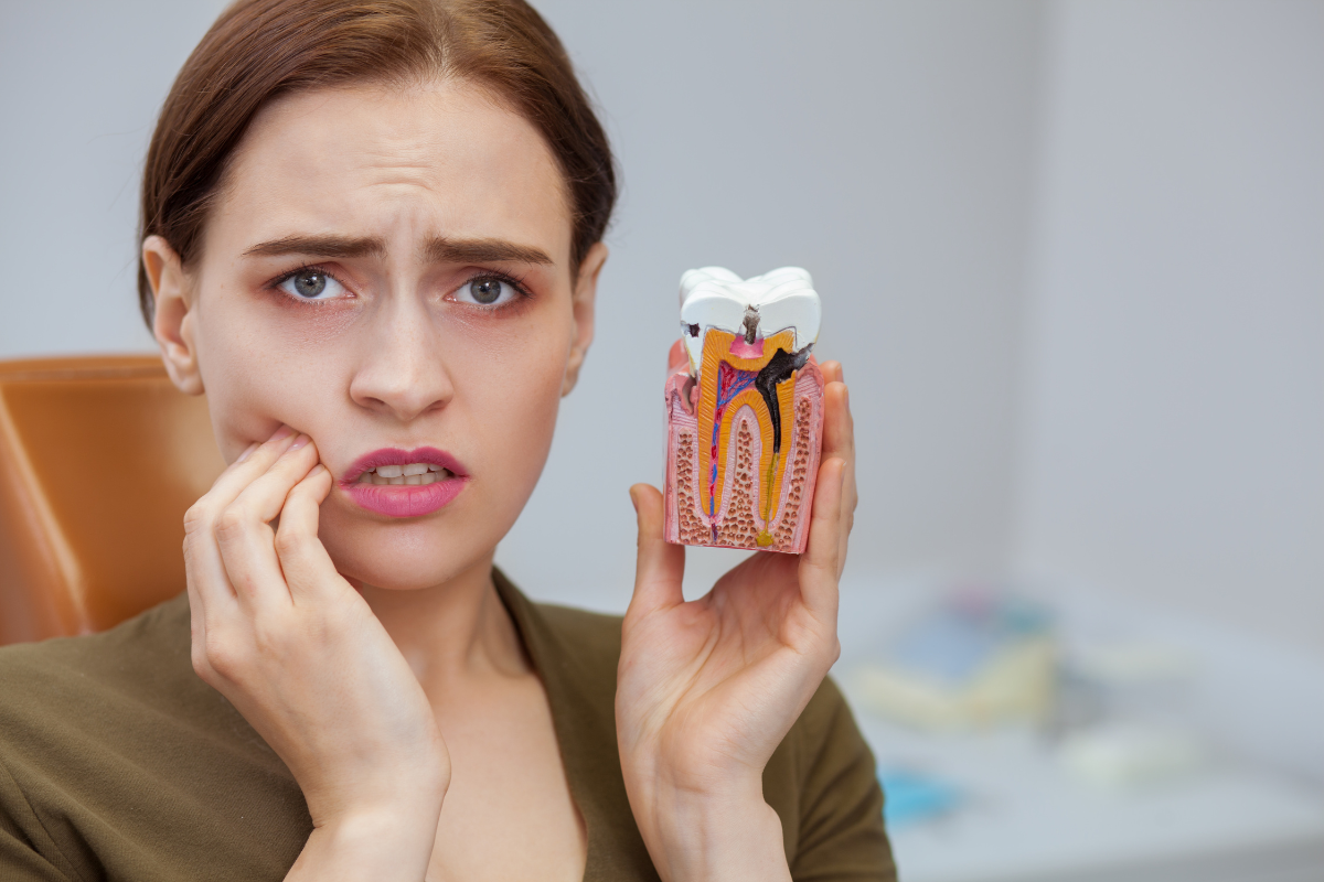 Dental Emergency When to Seek Urgent Care Immediately Woman holding dental cross-section model showing tooth decay and root canal treatment concern.